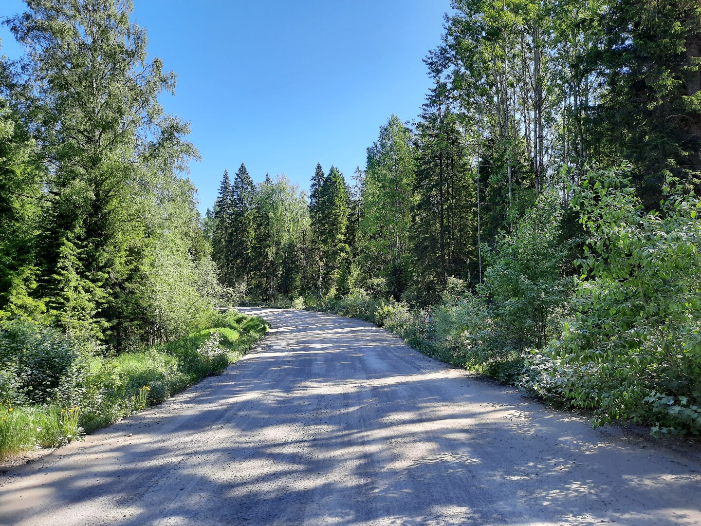 Дорога к дальнему водопаду. Дорога к дальнему водопаду.