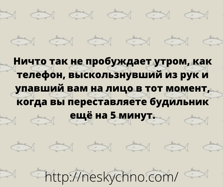 Веселая подборка шуточек и анекдотов, которая скрасит ваш день! Веселая подборка шуточек и анекдотов, которая скрасит ваш день!