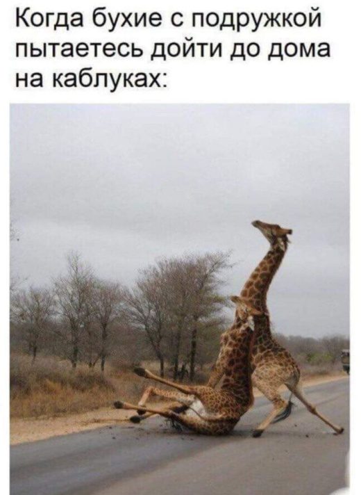 Позитив дня 