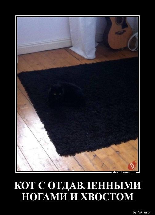 Демотиваторы для пятничного настроения: «С — смекалка» 