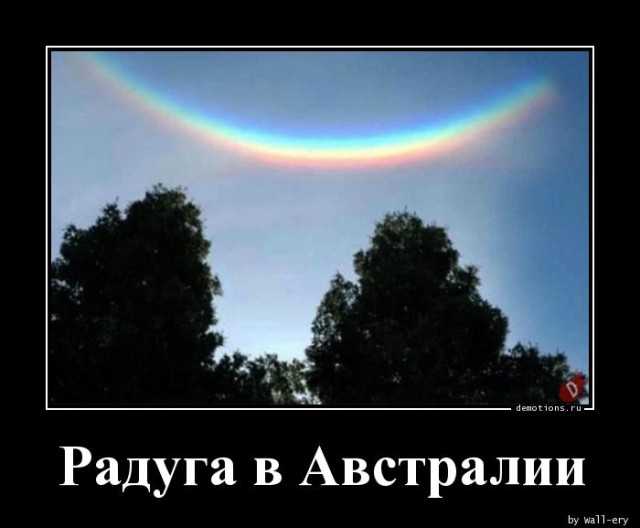 Демотиваторы для пятничного настроения: «С — смекалка» 