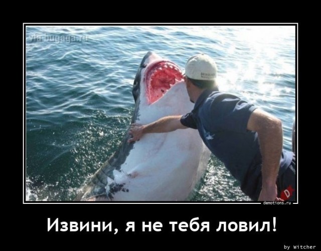 Постоянная рубрика для любителей демотивирующих картинок! Несём хорошее настроение в каждый монитор! 