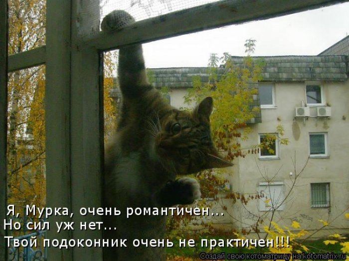 Мысли вслух :)