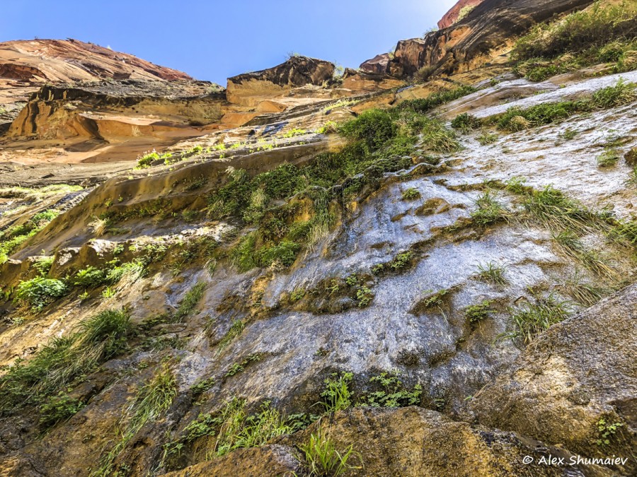 Плачущая скала и Изумрудные озера: самые популярные тропы Зайон каньона тропа, достаточно, озера, вокруг, очень, Плачущая, которые, Зайоне, Изумрудные, такой, скалы, видно, вдоль, Тропа, которой, времени, талая, заканчивается, много, Weeping