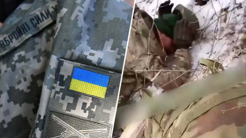 Как нам реагировать на военные преступления ВСУ россия,украина