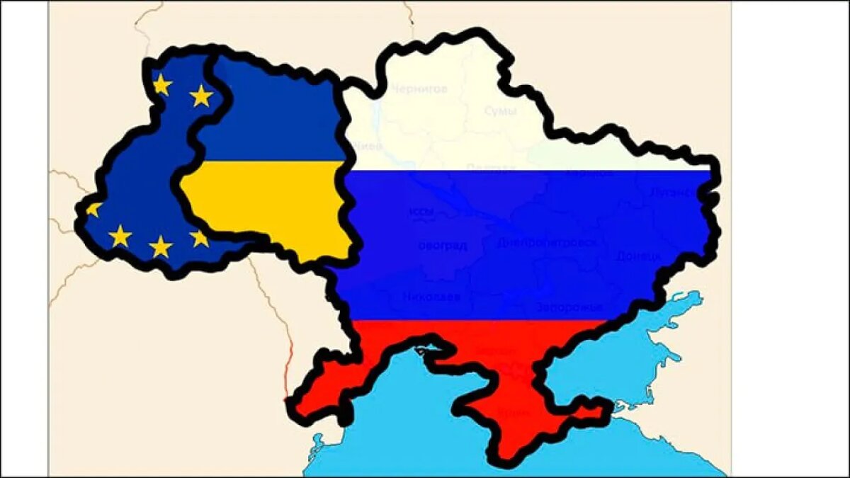 Коллаж Novorosinform