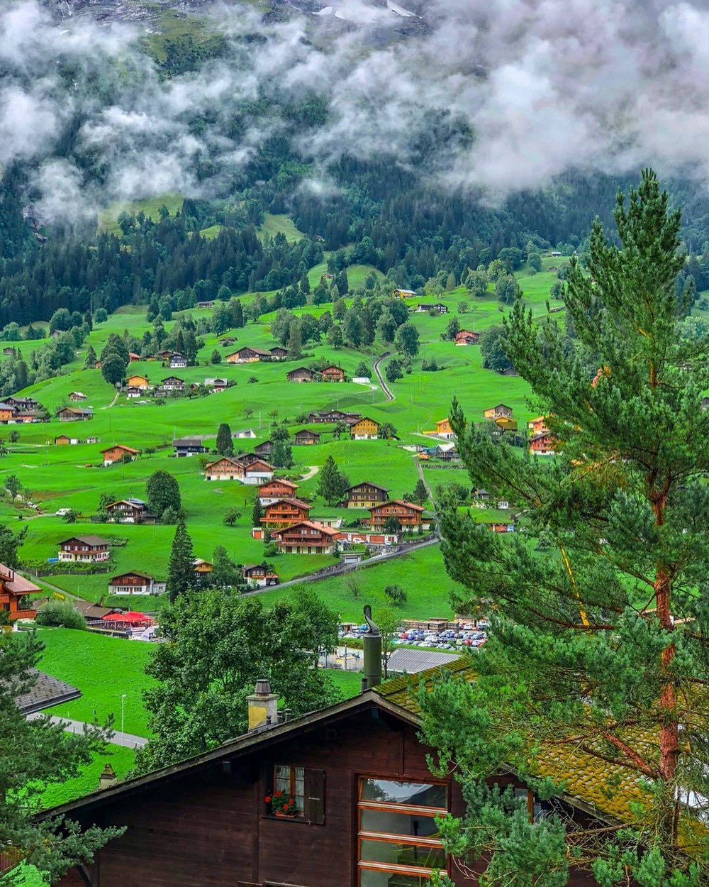 Интересные и веселые снимки, которыми хочется поделиться фотография