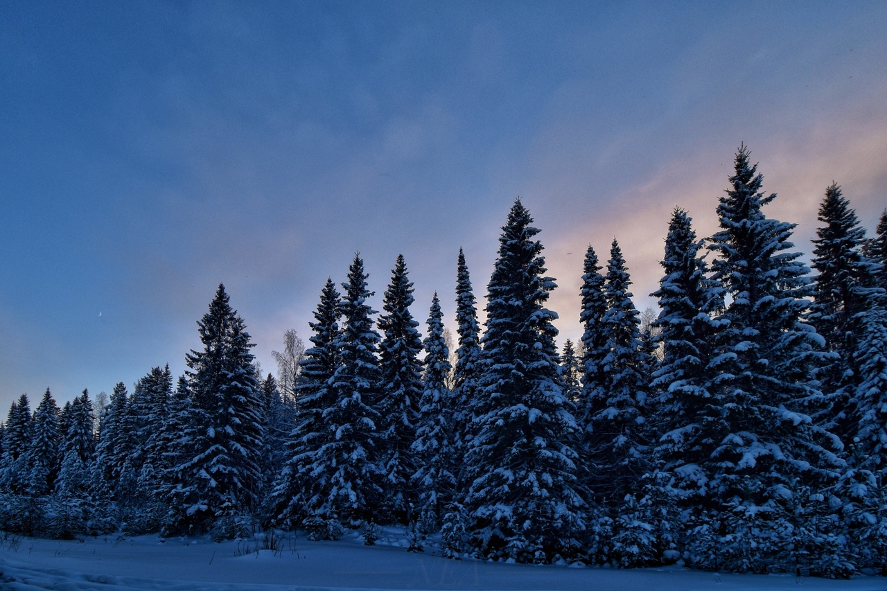 Природа Свердловской области зимой