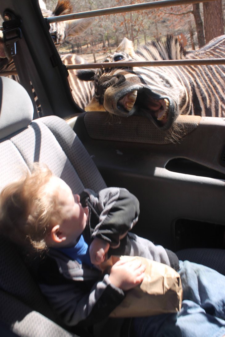 Прикольные фотографии которые поднимут настроение