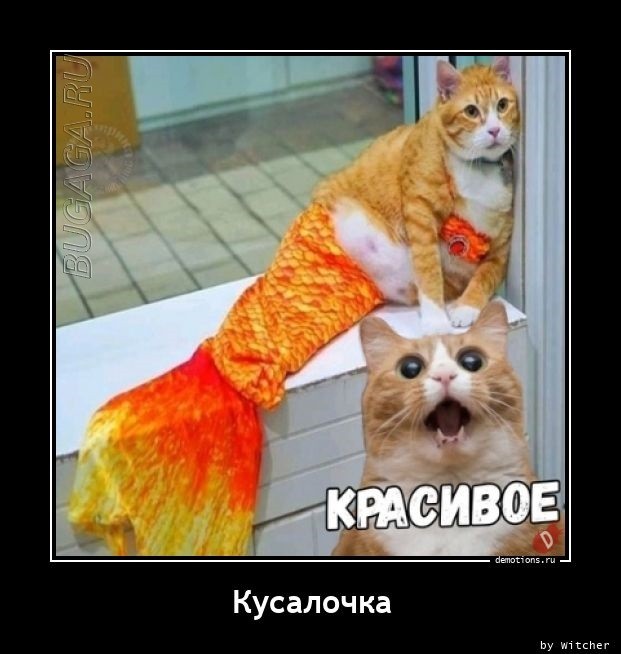 Демотиваторы для хорошего настроения: «От создателей…» Демотиваторы для хорошего настроения: «От создателей…»