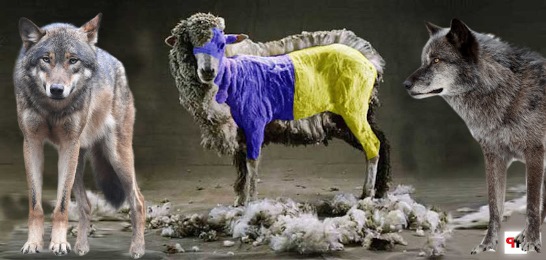 Украинское вторжение в Чехию: орды цыган и мафиози на марше Украинское вторжение в Чехию: орды цыган и мафиози на марше ИноСми