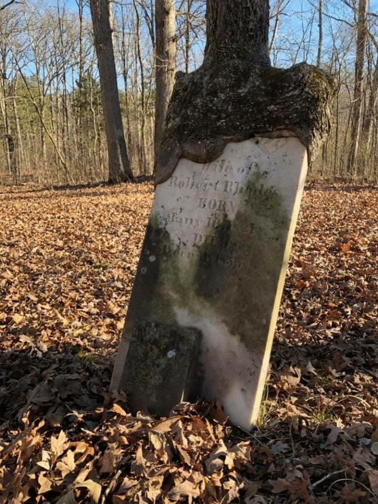 25 фото, после просмотра которых вы скажете: «Теперь я точно видел все» 25 фото, после просмотра которых вы скажете: «Теперь я точно видел все»