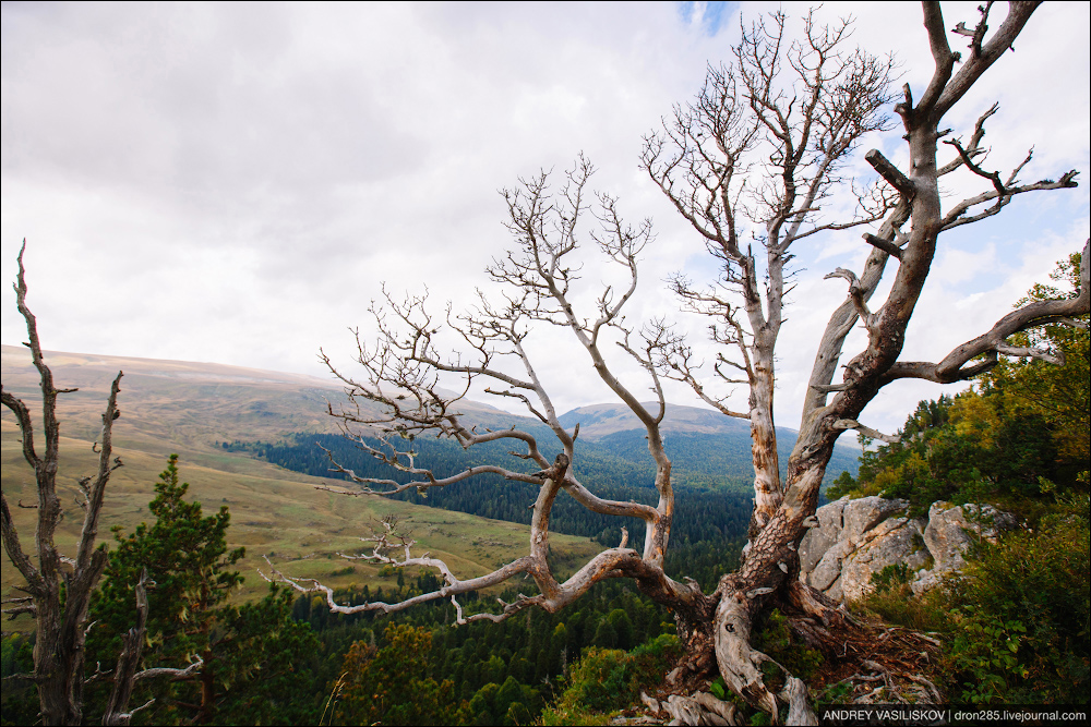 Адыгея. Плато Лаго-Наки. Адыгея. Плато Лаго-Наки. автотуризм
