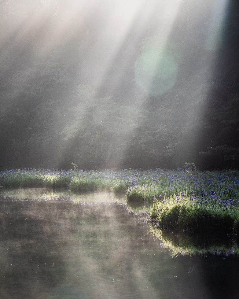 Япония: страна, которой невозможно налюбоваться Япония: страна, которой невозможно налюбоваться мир,страны,туризм,япония