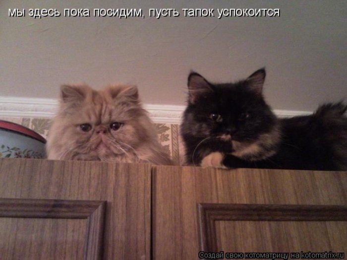 Мысли вслух :)