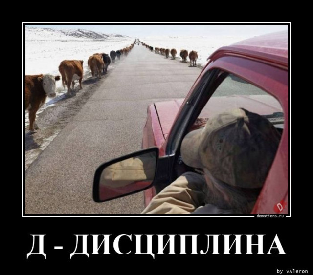 Демотиваторы на любой вкус: «Начинаем утреннюю гимнастику…» Демотиваторы на любой вкус: «Начинаем утреннюю гимнастику…»