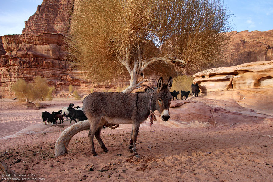 Лунная долина в Иордании Лунная долина в Иордании путешествия, иордания