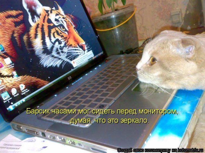 Мысли вслух :)