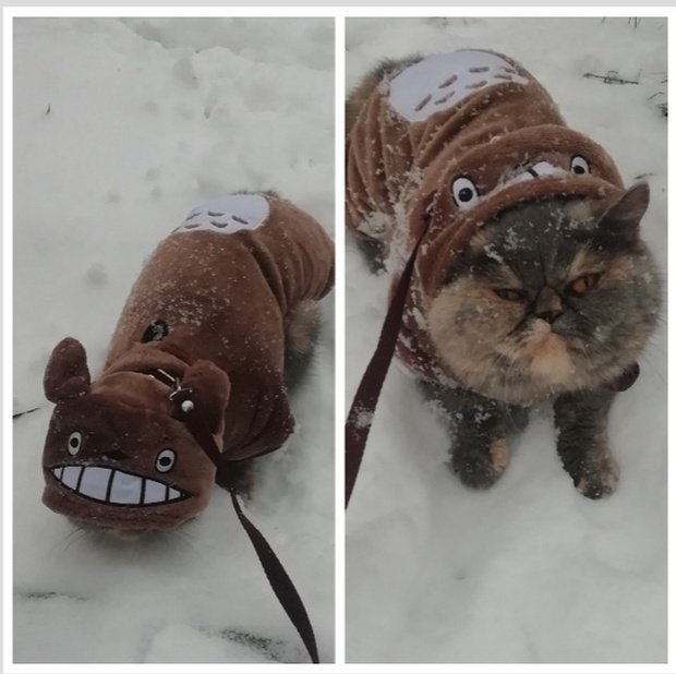 Фотоподборка четверга Фотоподборка четверга