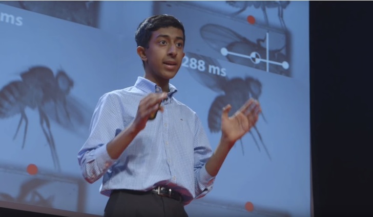 6 совсем не детских научных проблем, с которыми справились подростки 6 совсем не детских научных проблем, с которыми справились подростки воспитание,Дети,Жизнь,Истории,проблемы