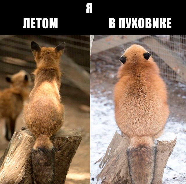 Немного картинок 