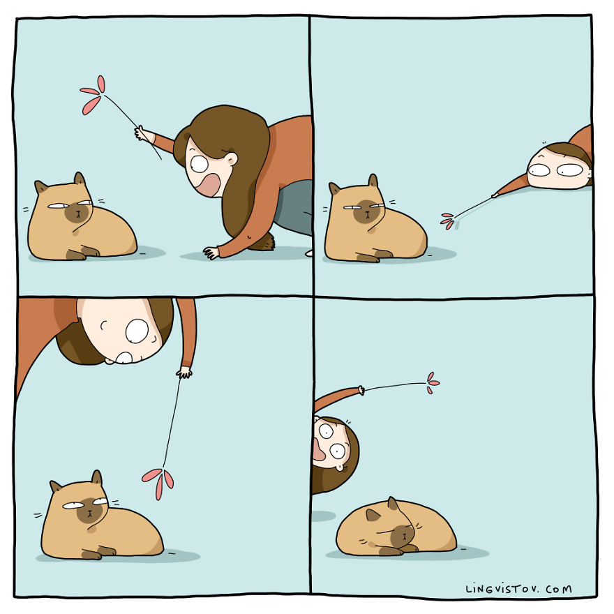 18-komiksov-kotorye-pokazhut-chto-znachit-zhit-s-koshkoj_013
