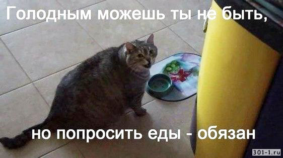 Русские пережили Батыя и Чубайса, поэтому никакие санкции им не страшны Русские пережили Батыя и Чубайса, поэтому никакие санкции им не страшны спрашивает, плохо, джентльмена, вышла, попадется, здоровья, между, сейчас, телефону, сынок, когда, перед, лучше, денег, мужик, шестого, глаза, нетОдин, никто, верблюд
