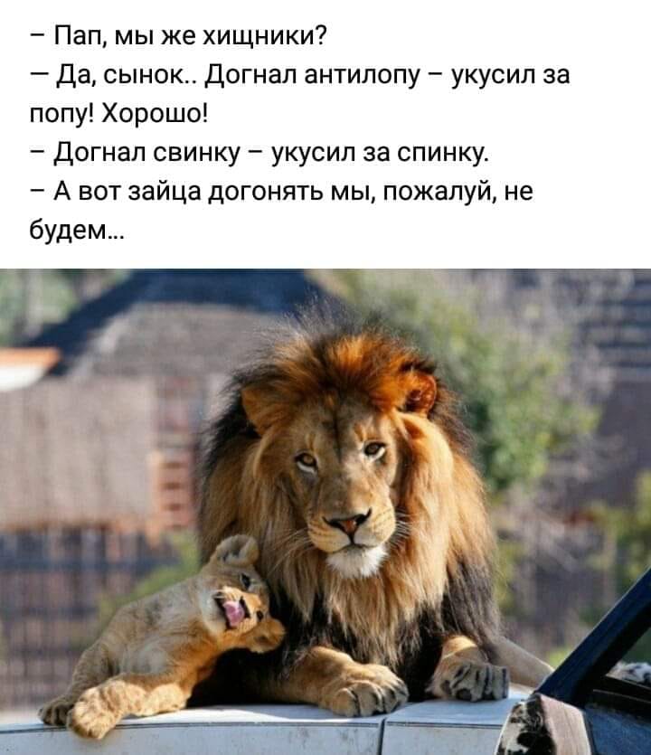 — Я слышал, сынок, что ты с Ленкой гуляешь. Это правда?..