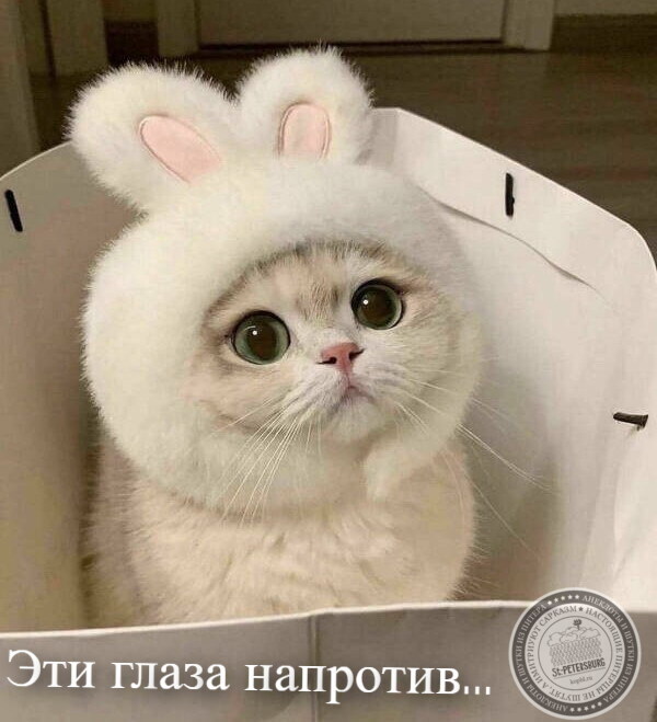 Глаза