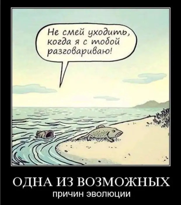 Моисей никак не мог принять ванну, потому что вода всё время расходилась и отовсюду сбегались евреи 