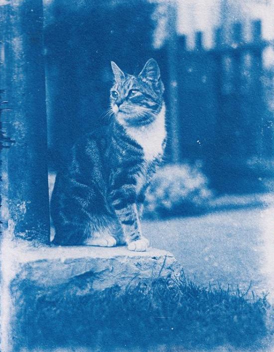 Снимок экрана (5)