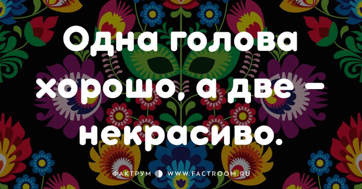 20 смешных современных поговорок, которых вы ещё не слышали