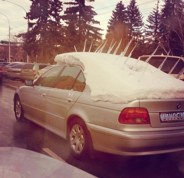 Весёлые картинки для всех Весёлые картинки для всех