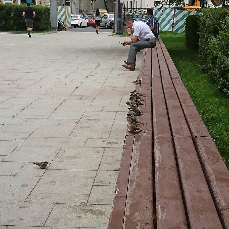 Подготовка летной банды банда, бандюки, грабеж, грабители, двор, прикол
