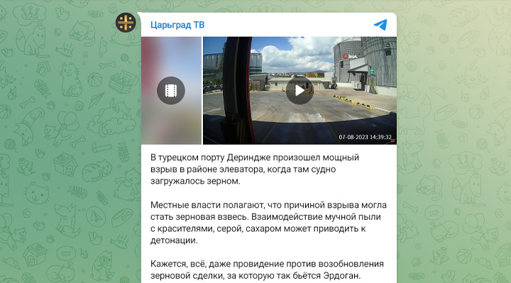 ТАЙНОЕ ОРУЖИЕ РУССКОЙ ПОБЕДЫ: КТО ВЗРЫВАЕТ ЭЛЕВАТОРЫ ВО ФРАНЦИИ геополитика