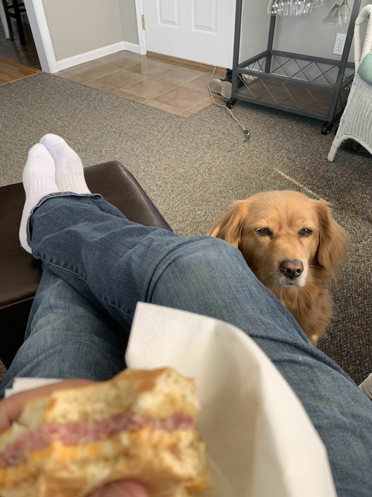 Прикольные фотографии которые поднимут настроение