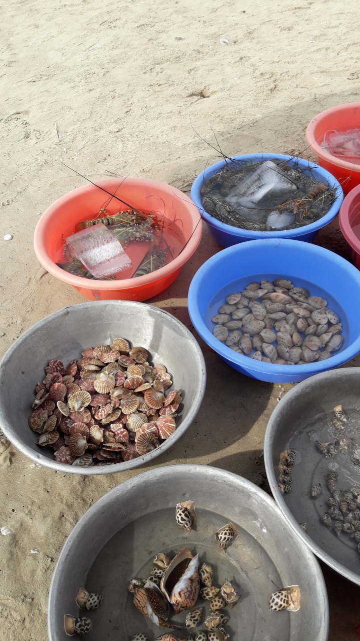 Вьетнам. Прилет Вьетнам. Прилет заграница,путешествие,страны,туризм