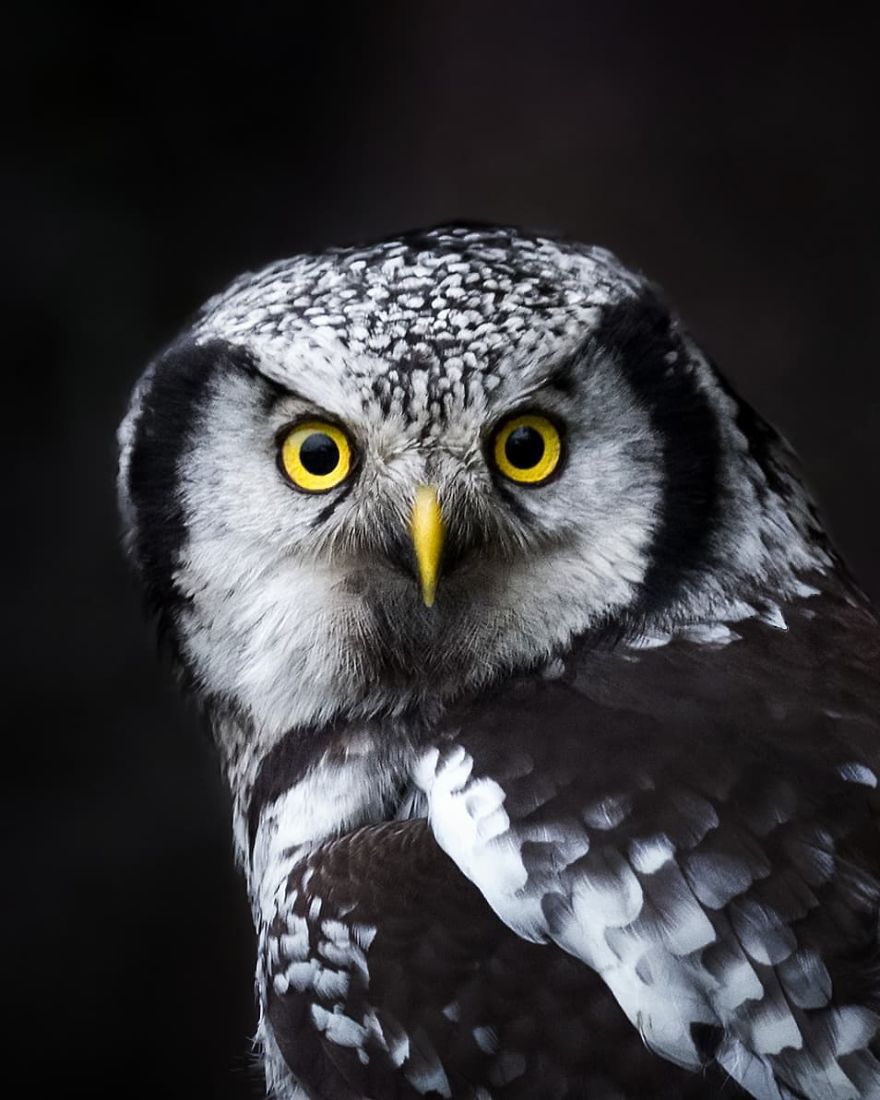 Финская природа в объективе финского фотографа Финская природа в объективе финского фотографа