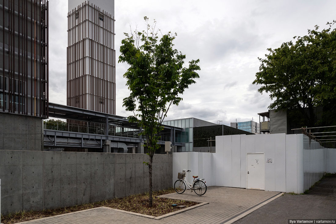 Что японцы делают с мусором Что японцы делают с мусором городская среда, интересное, мусор, парк, путешествия, токио, япония