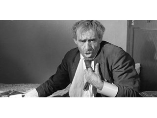 «Бенякратия»