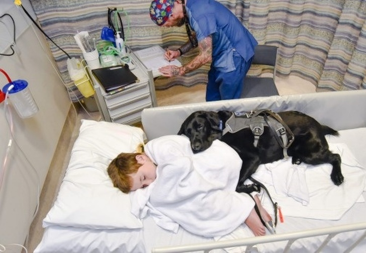 Каждому ребенку нужен питомец картинки