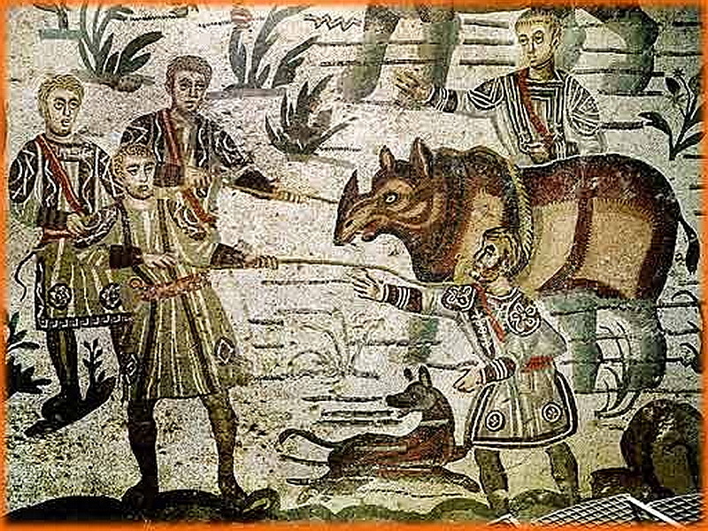 ​Римляне ловят носорога для цирковых представлений. Мозаика из виллы Казале, Пьяцца Армерина, Сицилия, около 300 года н.э. pinterest.com - Римляне в Центральной Африке
 | Warspot.ru