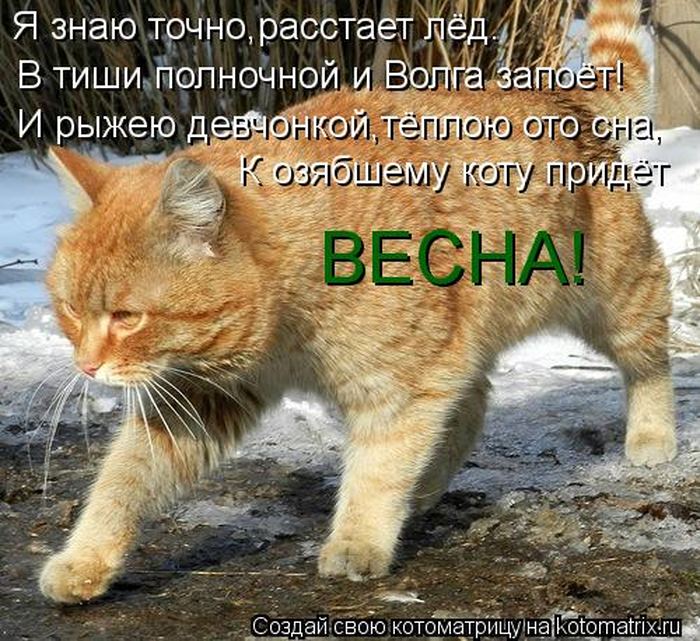 Точно знаю я ты смотришь на меня. Я знаю точно растает лед.