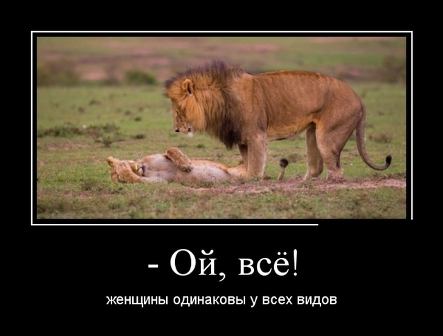 Демотиваторы 19 марта 2019 Демотиваторы 19 марта 2019