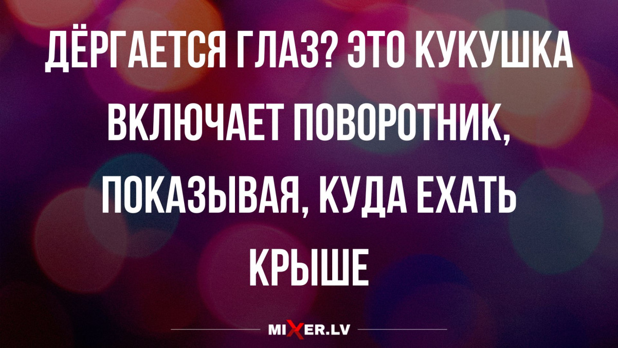 Анекдоты недели и кукушка