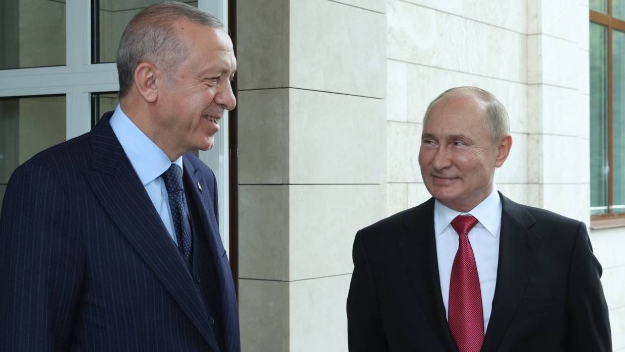 Эрдоган пригласил Путина в Турцию для обсуждения украинского кризиса Политика