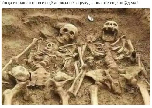 Новые прикольные картинки и фото Новые прикольные картинки и фото