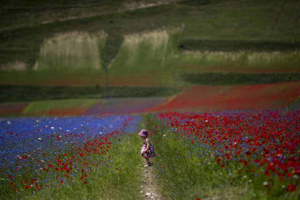 Прогулка по разноцветной долине Италии