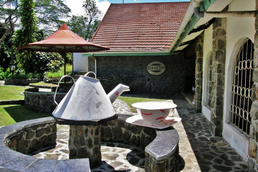 Страны, где пьют больше всего чая Страны, где пьют больше всего чая