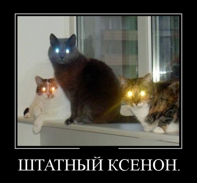 Подборка демотиваторов с черноватеньким юмором 